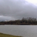 Ensisheim étang 1 janvier 2013