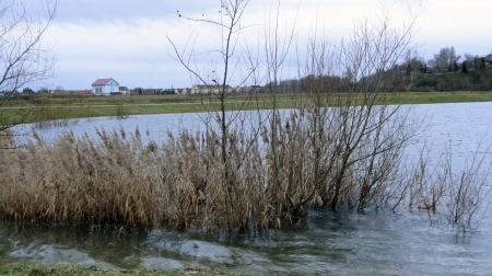 Ensisheim étang 2 janvier 2013