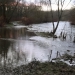 Ensisheim étang décembre 2012