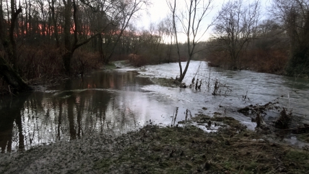 Ensisheim étang décembre 2012