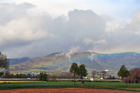 Vosges novembre 2012
