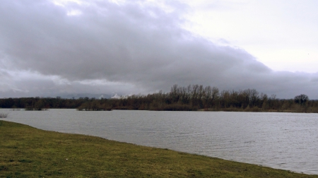 Ensisheim étang 1 janvier 2013