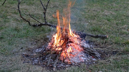 Feu 1 mars 2013