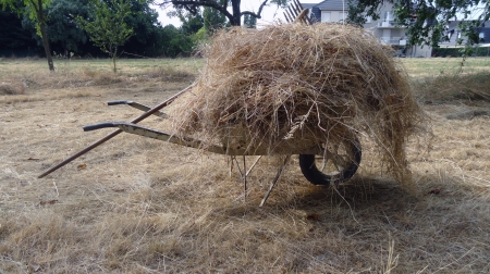 Paille Août 2013