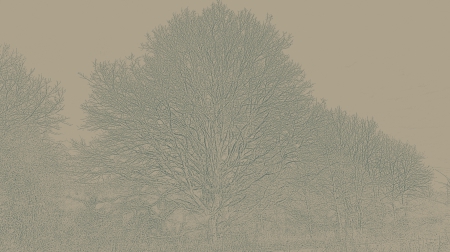 Ensisheim janvier 2013